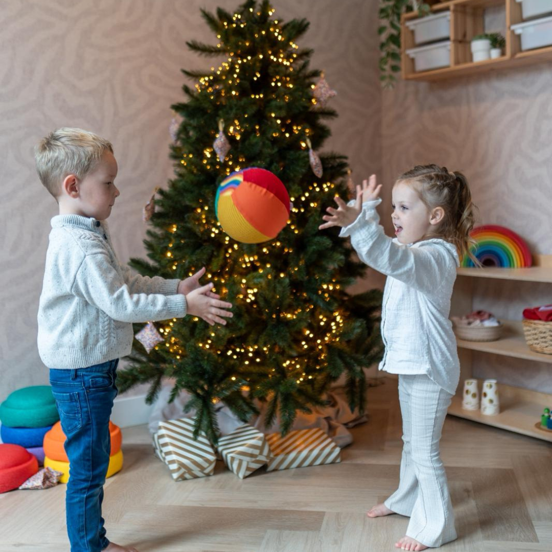 Sensorische Ballonbal - regenboog